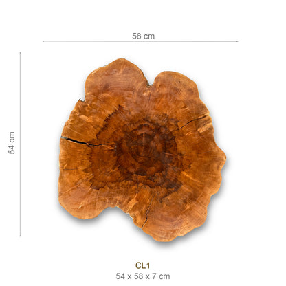 Baumscheibe (Litschi, 50-60 cm)
