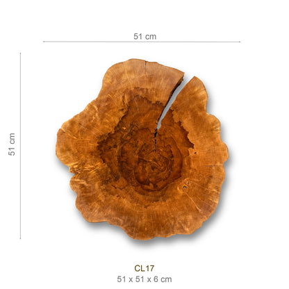 Baumscheibe (Litschi, 50-60 cm)