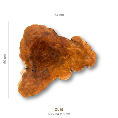 Baumscheibe (Litschi, 50-60 cm)