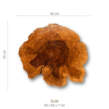Baumscheibe (Litschi, 50-60 cm)