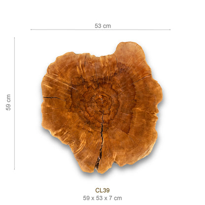 Baumscheibe (Litschi, 50-60 cm)