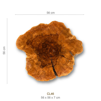 Baumscheibe (Litschi, 50-60 cm)