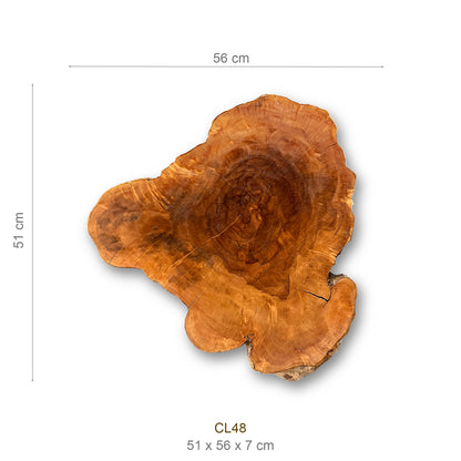 Baumscheibe (Litschi, 50-60 cm)